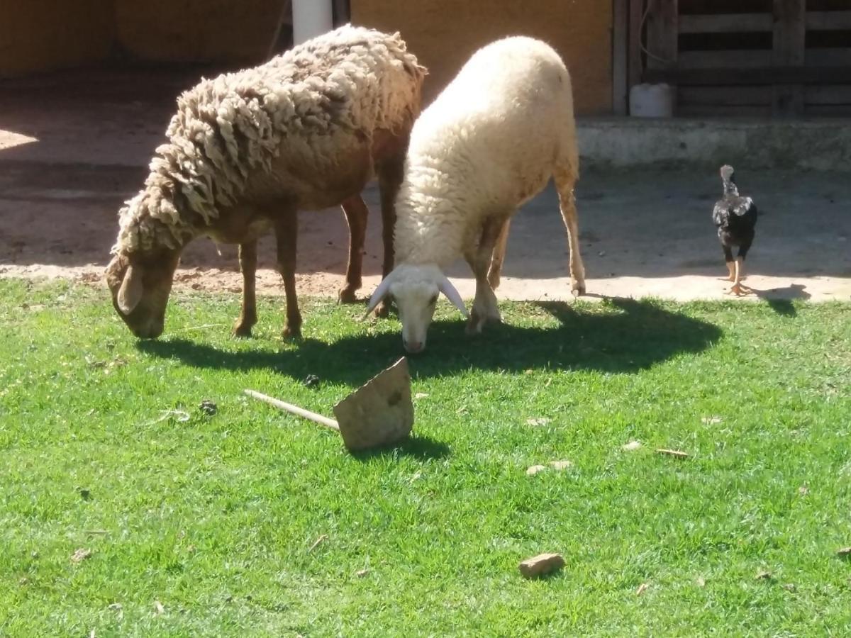 Molise Hotel Fazenda Serra Negra  Zewnętrze zdjęcie