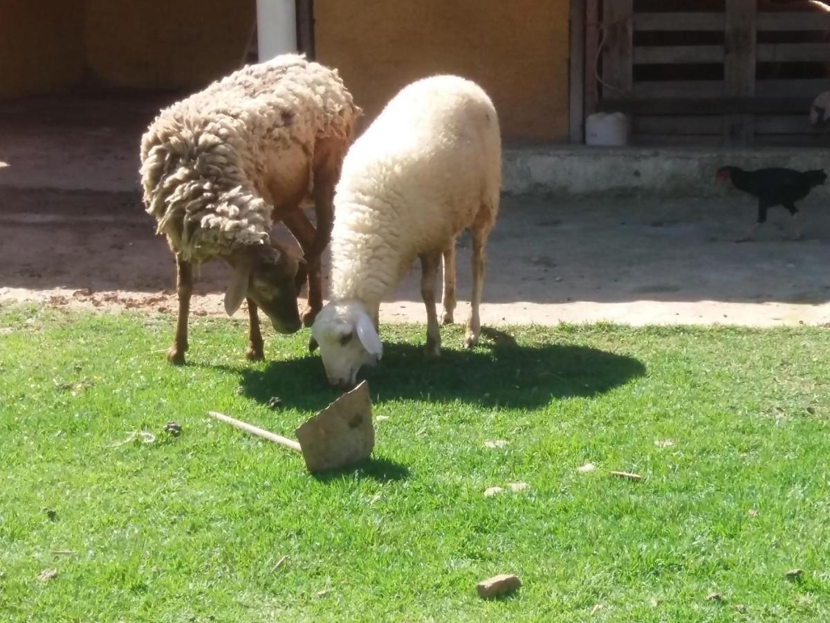 Molise Hotel Fazenda Serra Negra  Zewnętrze zdjęcie